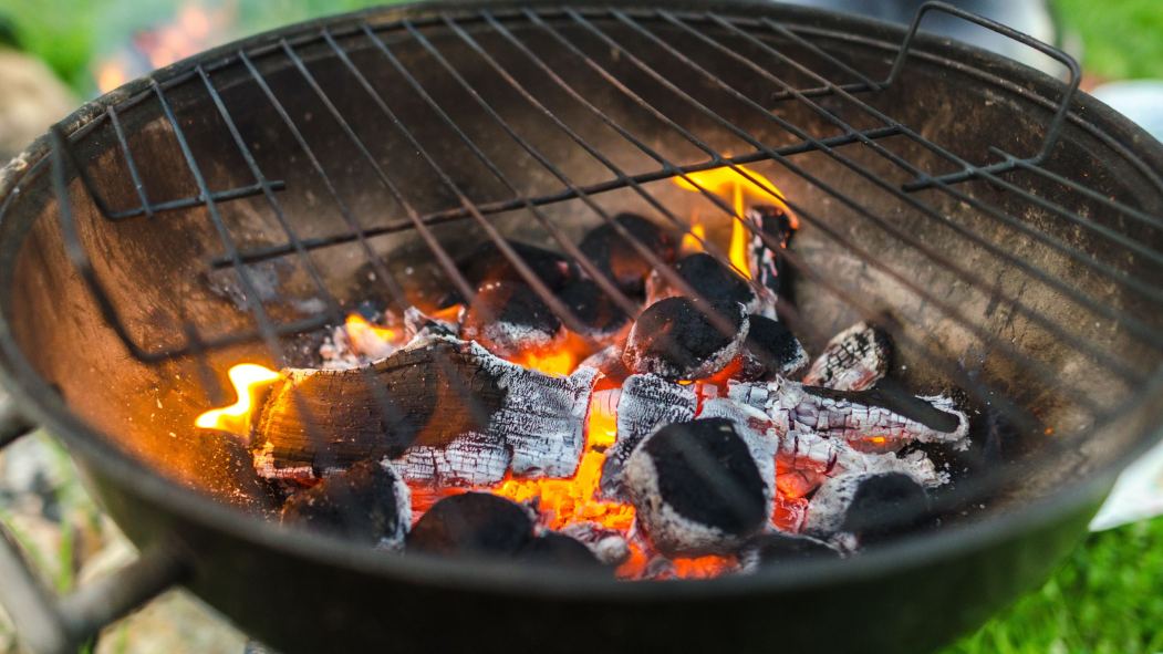 Le charbon de bois pour une cuisson de vos mets preferés