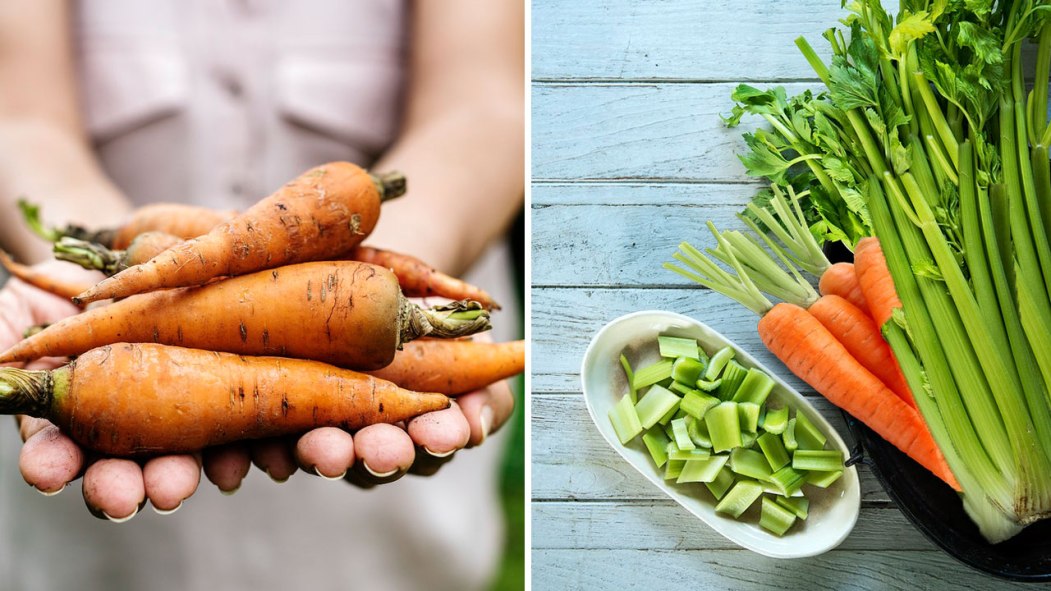 Comment conserver vos carottes et céleris pour qu'ils restent savoureux