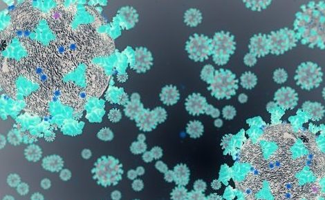 Covid-19 coronavirus