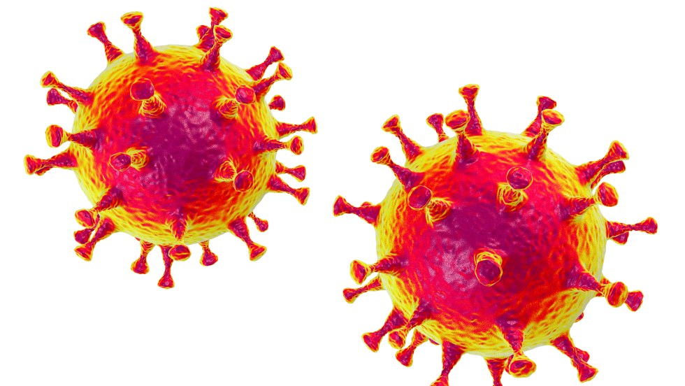 coronavirus covid