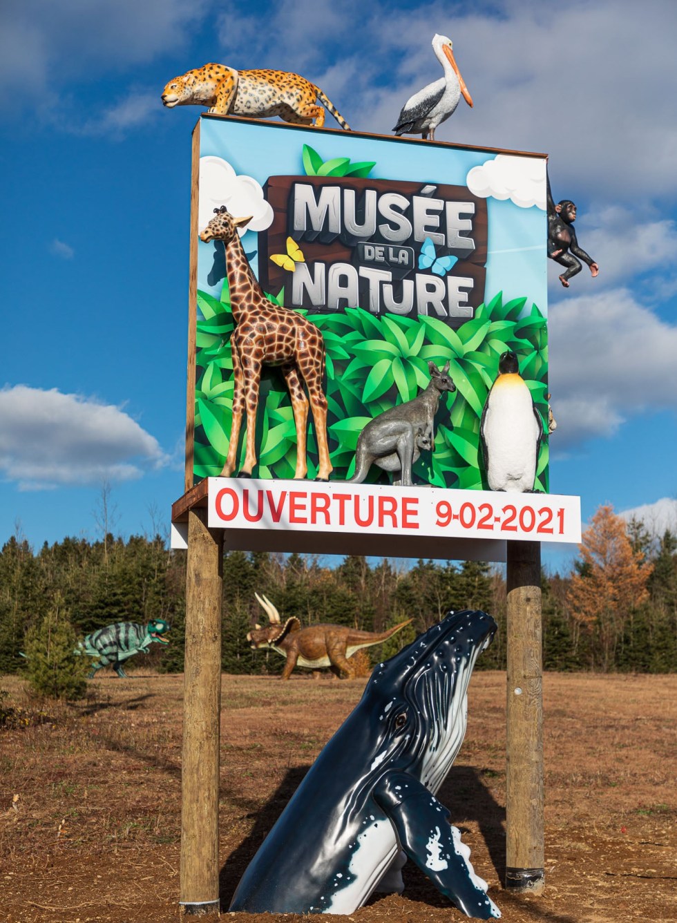 7000 spécimens de la nature à SaintTitedesCaps