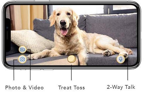 Communiquer avec votre chien via l'application mobile. Furbo chien caméra téléphone intelligent