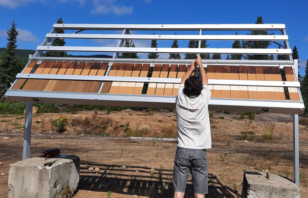 Protection bois construction