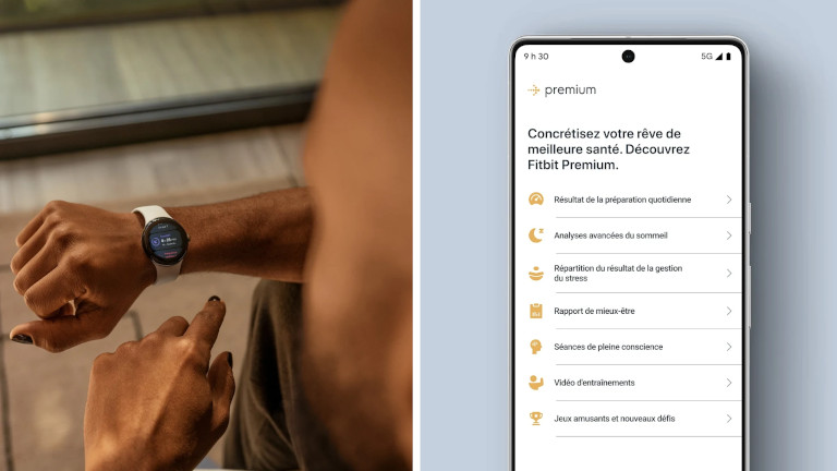 Google Pixel Watch Fitbit app