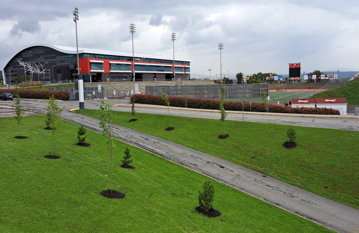 Plantation arbres campus Université Laval