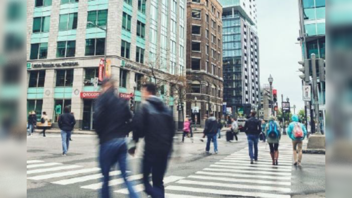 Statistiques marché de l'emploi de Québec