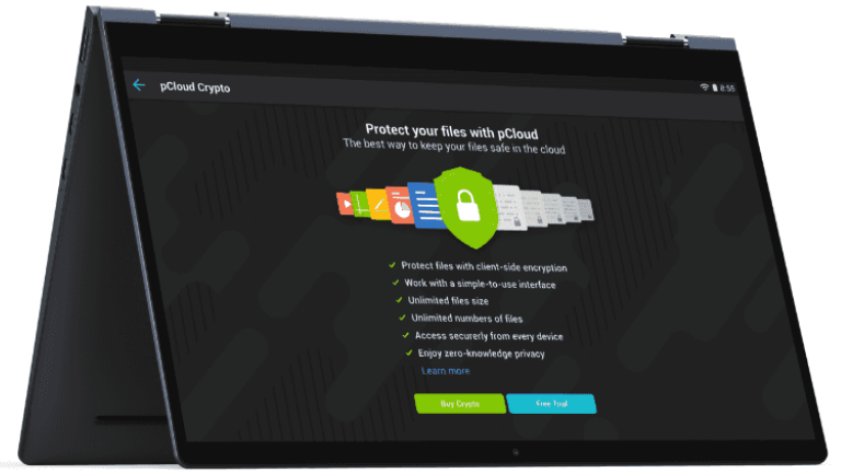 chiffrement militaire s&eacute;curitaire stockage nuagique pCloud