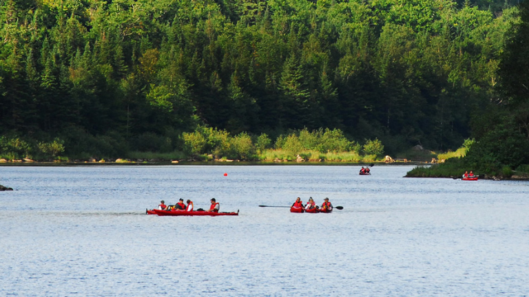 L'ouil de recherche de camping par critères permet de trouver quelque chose précisément dans nos cordes. recherche camping par critère camping Québec