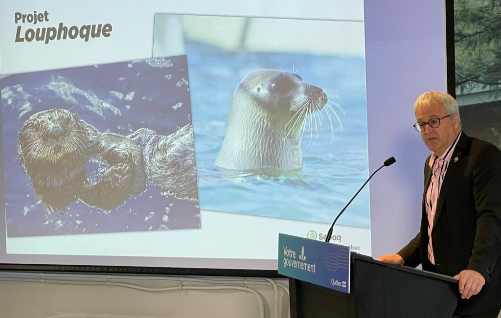 Projet Louphoque Aquarium du Québec