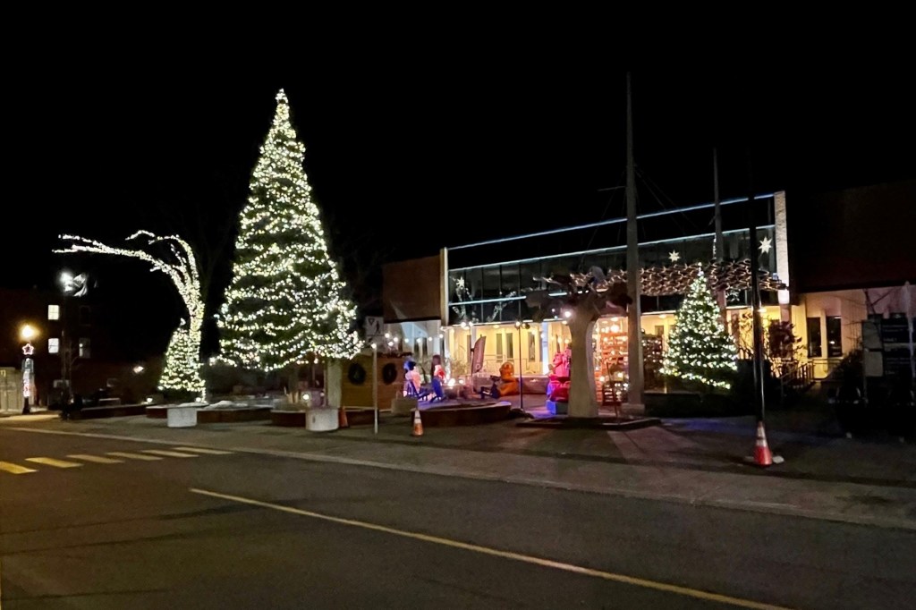 Avenue Maguire illuminée Fêtres 2022