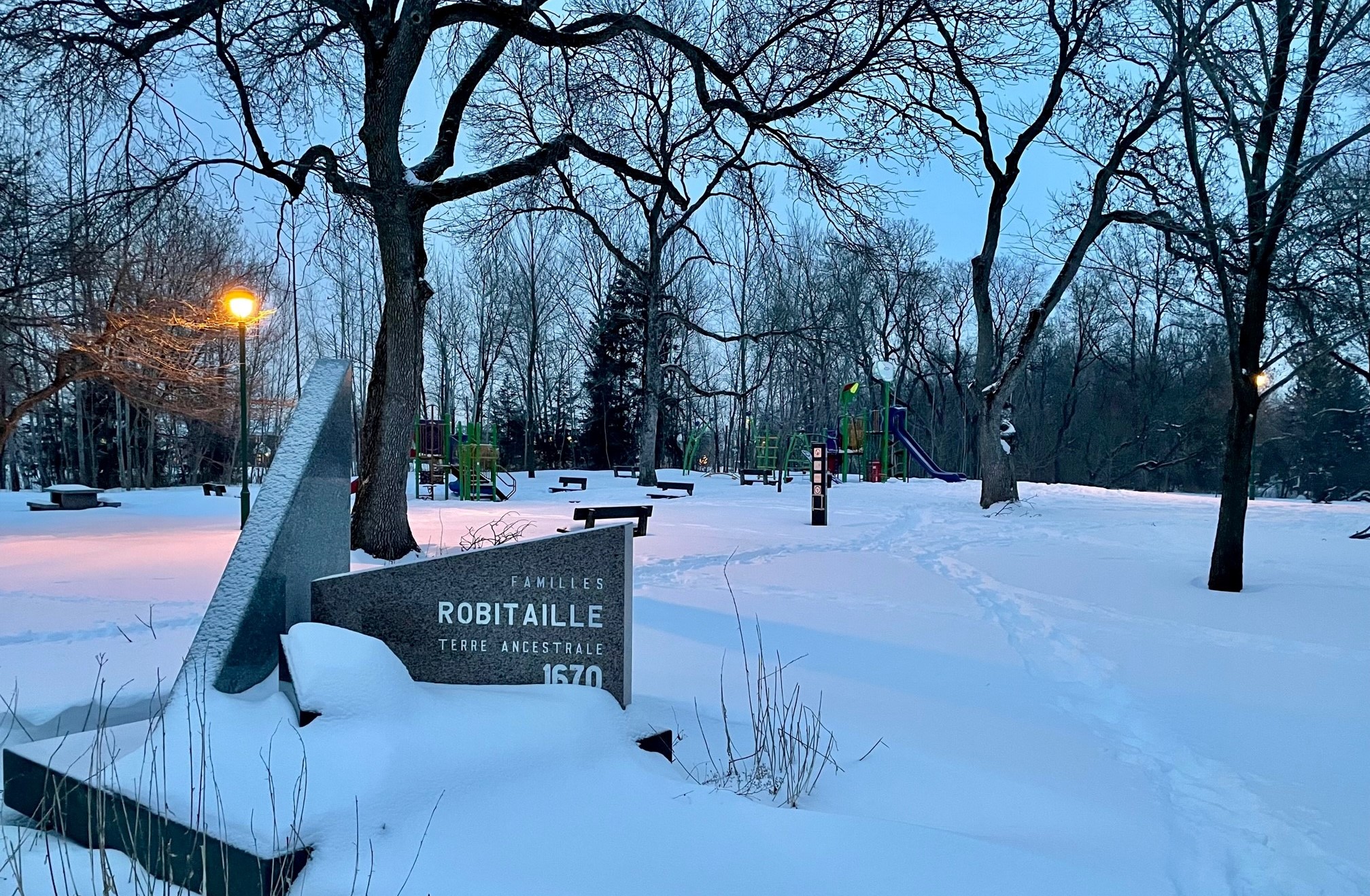 Coupe massive et inévitable de frênes dans le parc Robitaille
