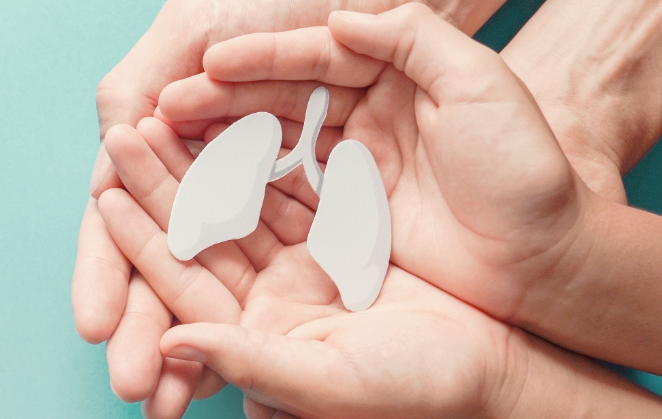 Dons d'organes Transplant Québec bilan 2022