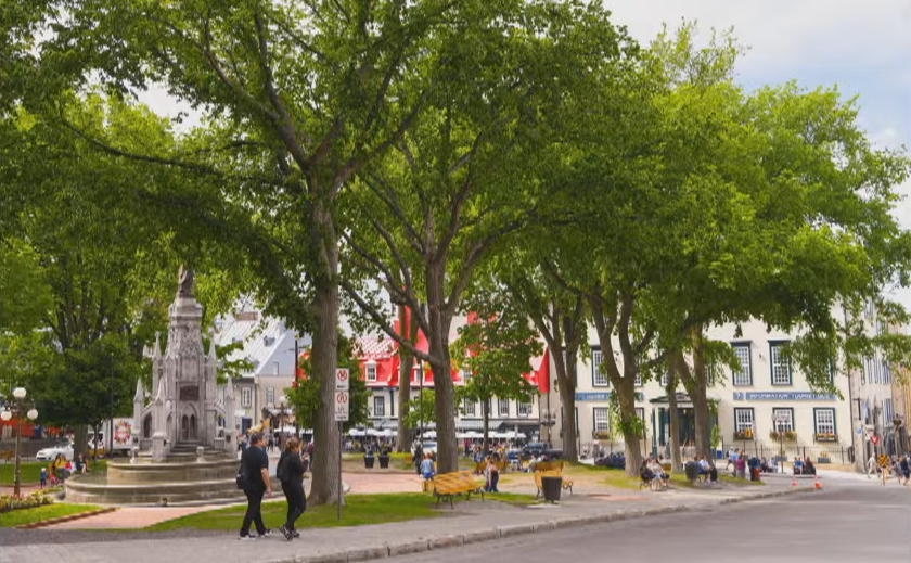 Forêt urbaine au centre-ville de Québec