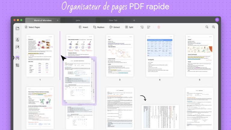 organisateur de pages offert par UPDF
