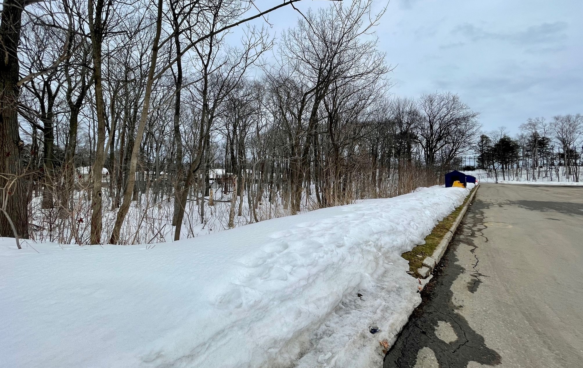Boisé menacé stationnement Aquarium