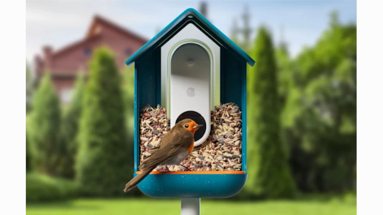 La mangeoire Bird Buddy est munie d'une caméra qui ressemble à une sonnette intelligente. La mangeoire Bird Buddy