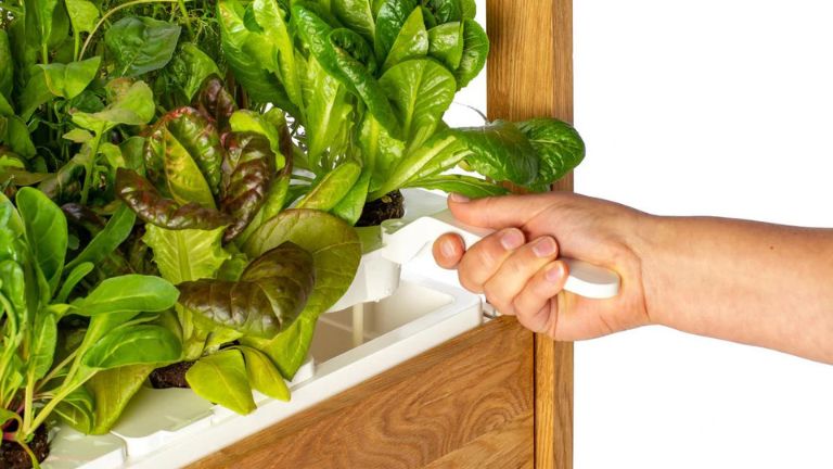 aper&ccedil;u plateaux cosses r&eacute;servoir d'eau click & grow 25