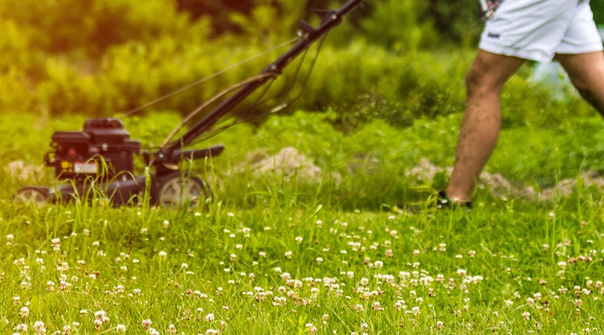 Entretien écologique pelouse VQ
