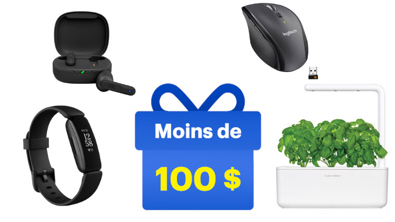 Suggestions cadeaux 100$