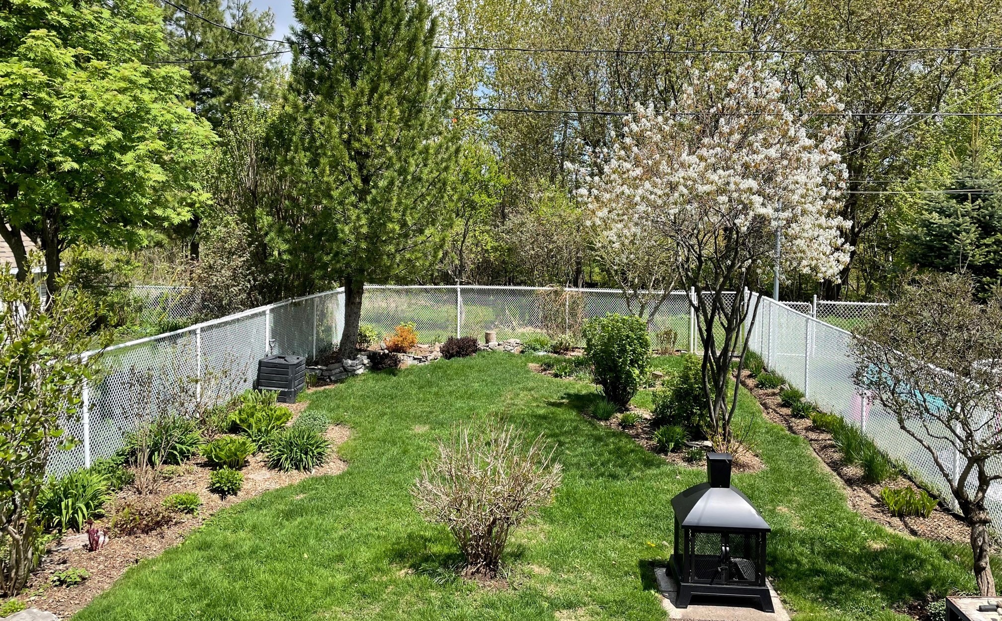 Oasis pollinisateurs au jardin - am&eacute;lanchier