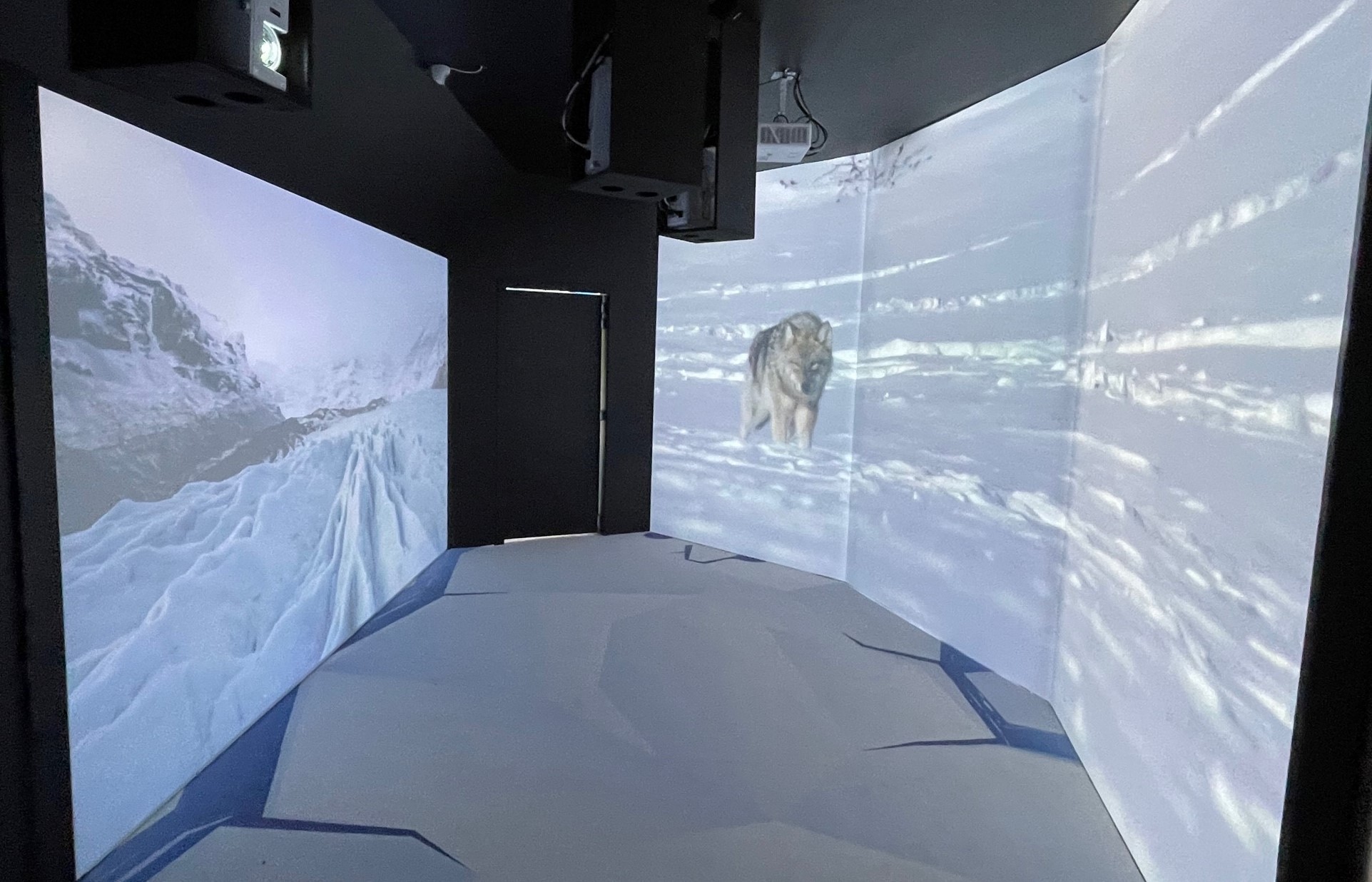 Aquarium Q projet Artika