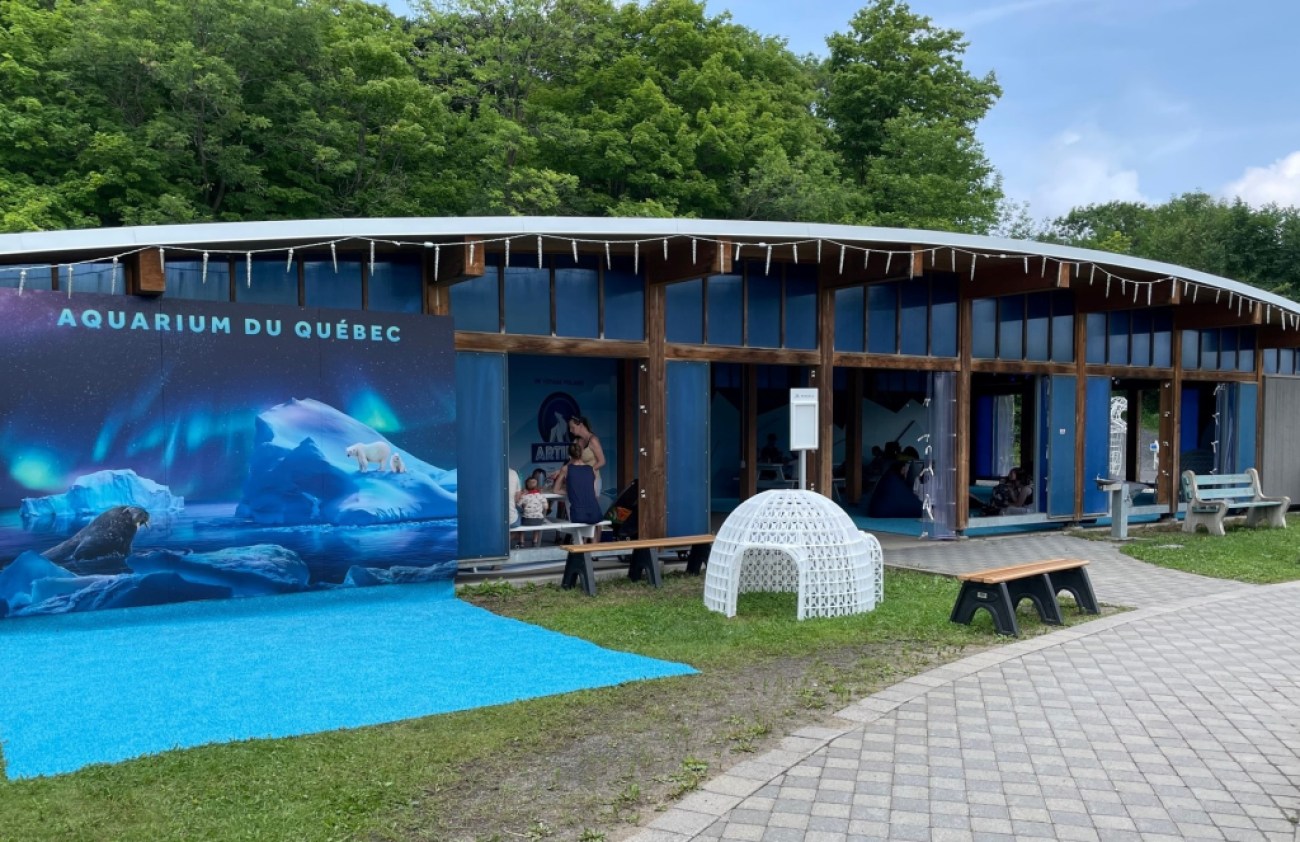 Aquarium Q projet Artika