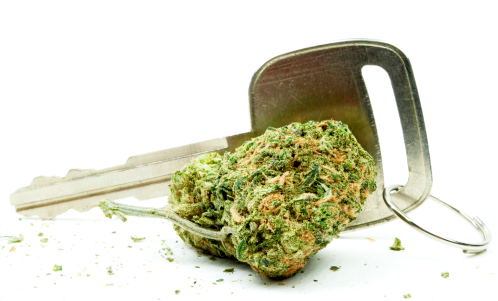 Conduite influence cannabis