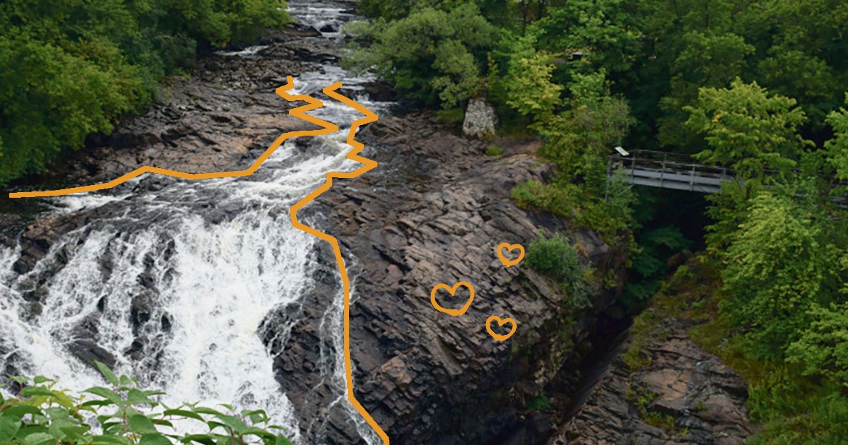 La HauteSaintCharles un portrait de votre arrondissement