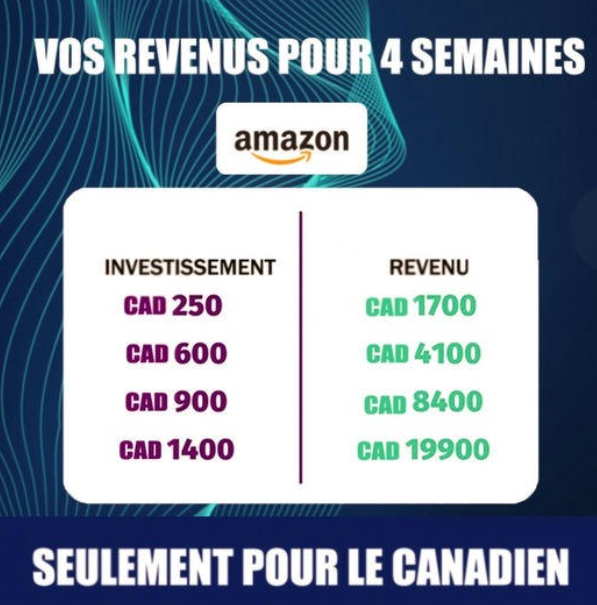 Faire autant de profits en si peu de temps? Malheureusement, rien n’est gratuit dans la vie. rendements irréalistes arnaque fausse monnaie Amazon