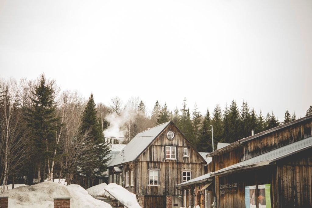 L'&eacute;rabli&egrave;re du Domaine Vallier Robert.