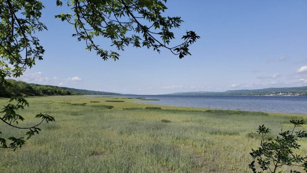 Un paysage de l'île d'Orléans