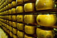 Al Parmigiano Reggiano l’oscar dei formaggi