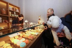 Inaugurata a Brescia una pasticceria per cani