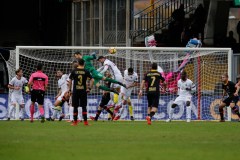 Il portiere Brignoli regala il primo punto al Benevento