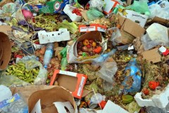 Spreco alimentare, nella spazzatura 360 euro annui a famiglia