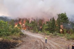 Incendi triplicati per siccità e incuria