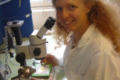 I moscerini e il “Caffè-scientifico”