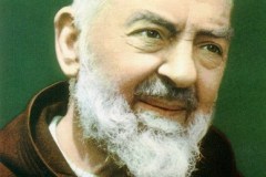 Attività di associazioni e organismi