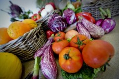 Frutta e verdura “brutte”, Ue scarta 50 milioni di tonnellate l’anno